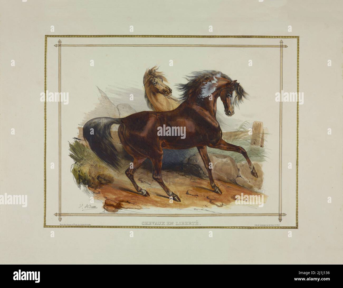 Litografía de caballos en el suelto. Por Jean Victor Adam (litógrafo, 1801 – 1866). Francia. 1835 Foto de stock
