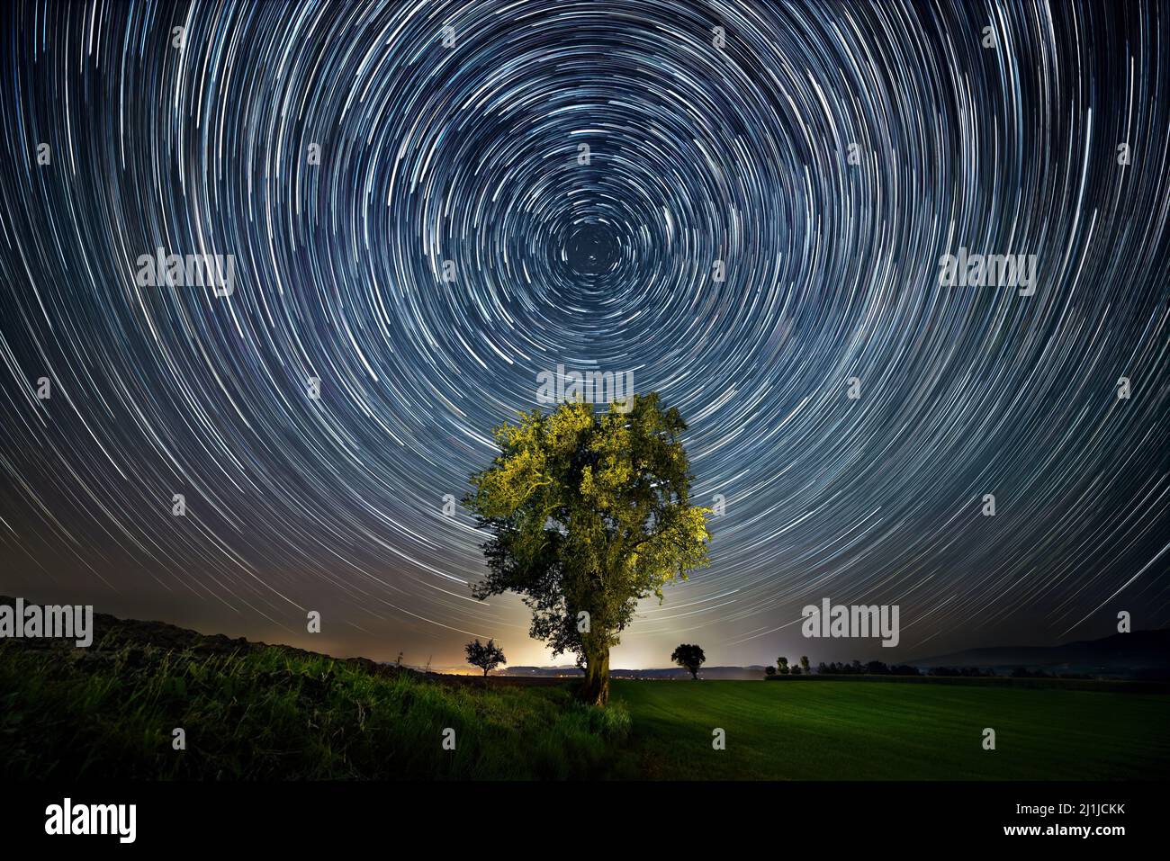 Cielo nocturno sobre un árbol solitario con rastros circulares de estrellas, composición centrada y simétrica Foto de stock