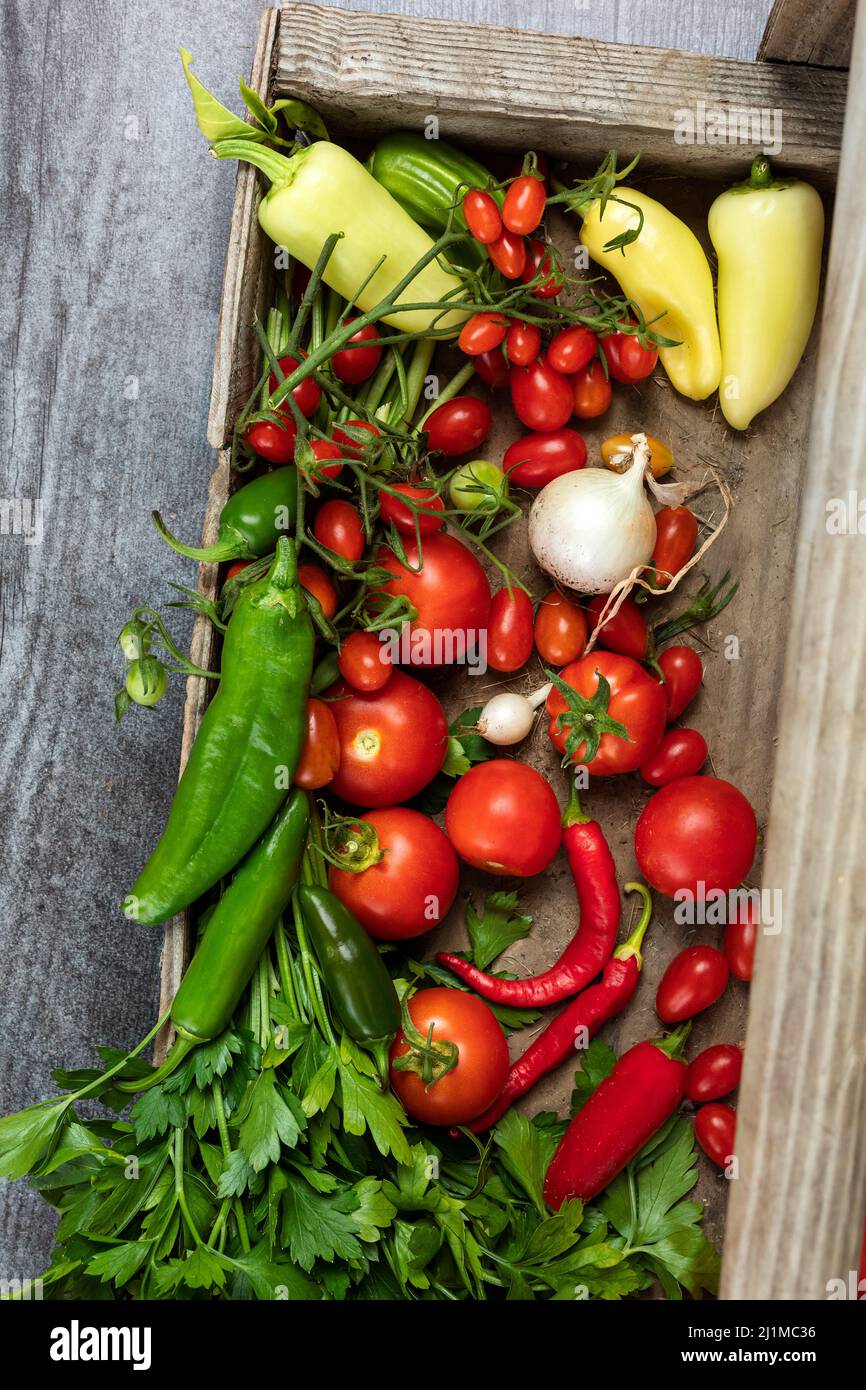 Ingredientes de Salsa Cosechados Frescos del Jardín Foto de stock