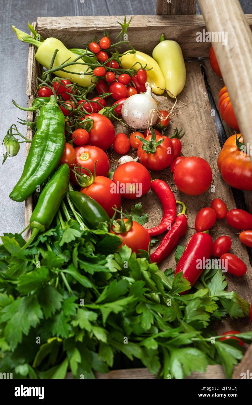 Ingredientes de Salsa Cosechados Frescos del Jardín Foto de stock