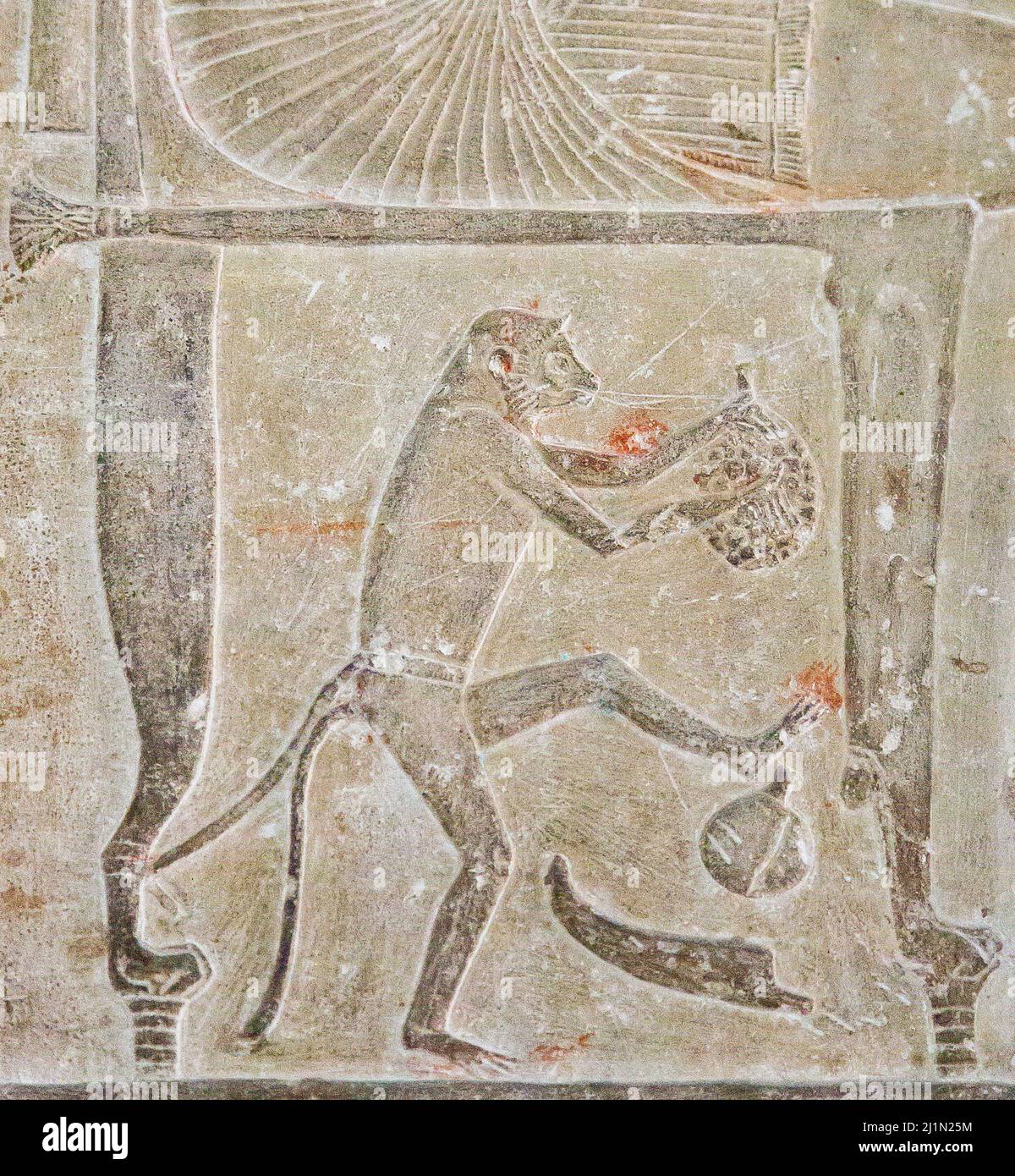 El Cairo, Museo Egipcio, de Saqqara, tumba de Ptahmose. Bajo la silla del difunto, un mono pequeño está comiendo frutas. Foto de stock