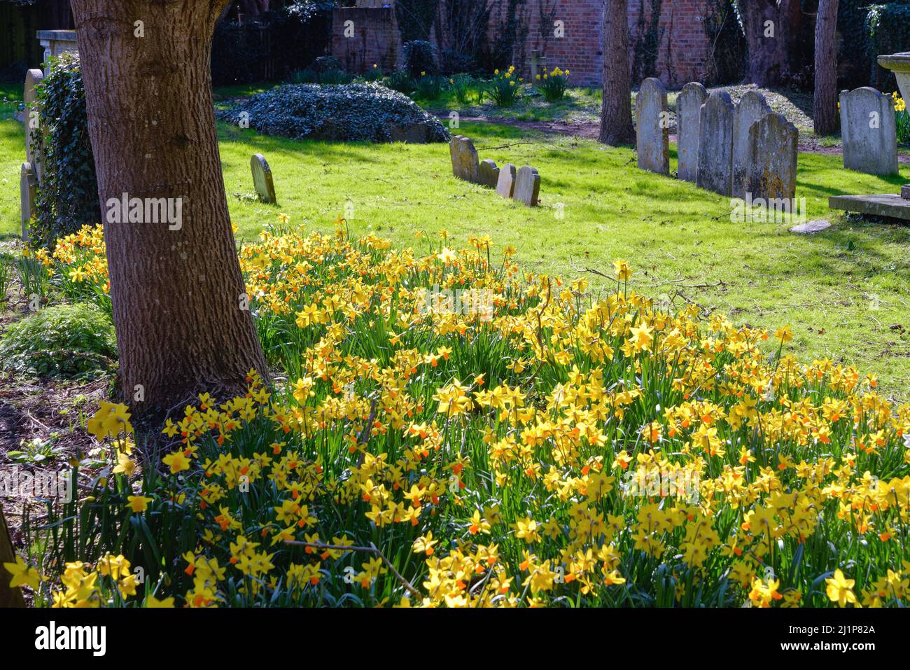 El cementerio de San Pedro y San Andrés, Old Windsor, en un soleado día de primavera Berkshire England Reino Unido Foto de stock