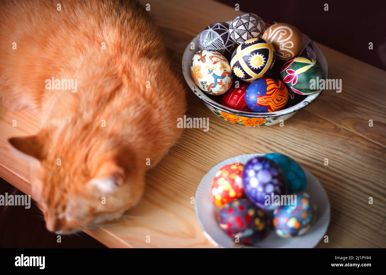 Inicio gato rojo y huevos de pascua en la mesa. Vacaciones de Semana Santa  Fotografía de stock - Alamy