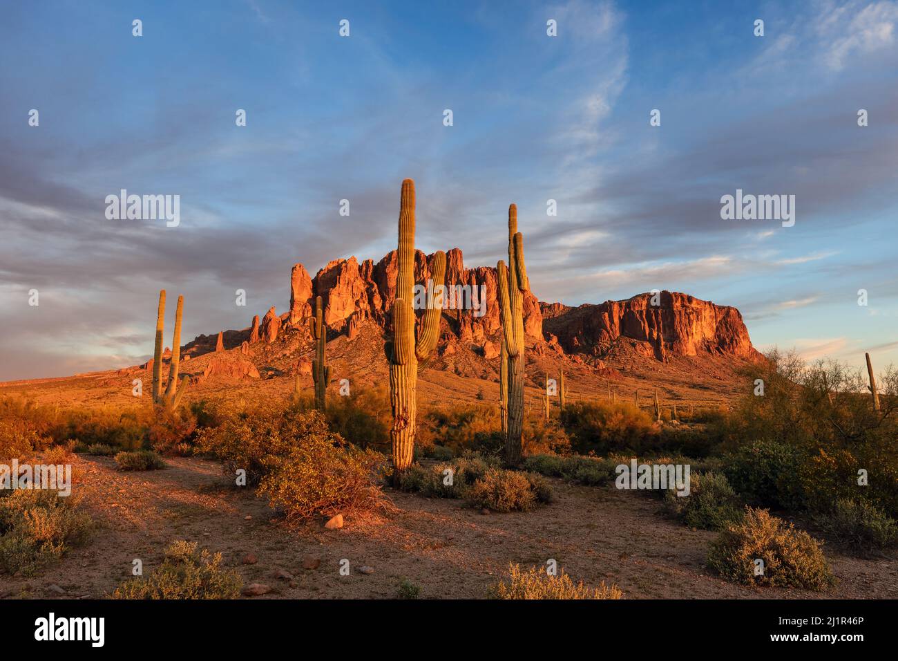Paisaje escénico del desierto en las Montañas Superstition en el Parque Estatal Lost Dutchman, Arizona, Estados Unidos Foto de stock