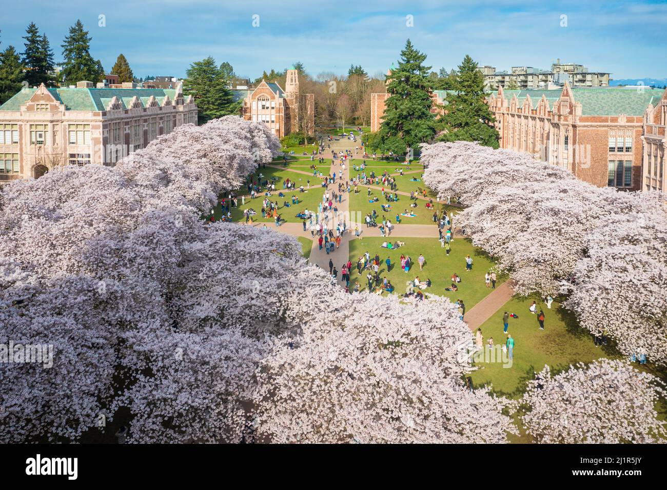 La Universidad de Washington (comúnmente conocida como Washington o UDub) es una universidad pública de investigación en Seattle, Washington, Estados Unidos. Encontrado Foto de stock