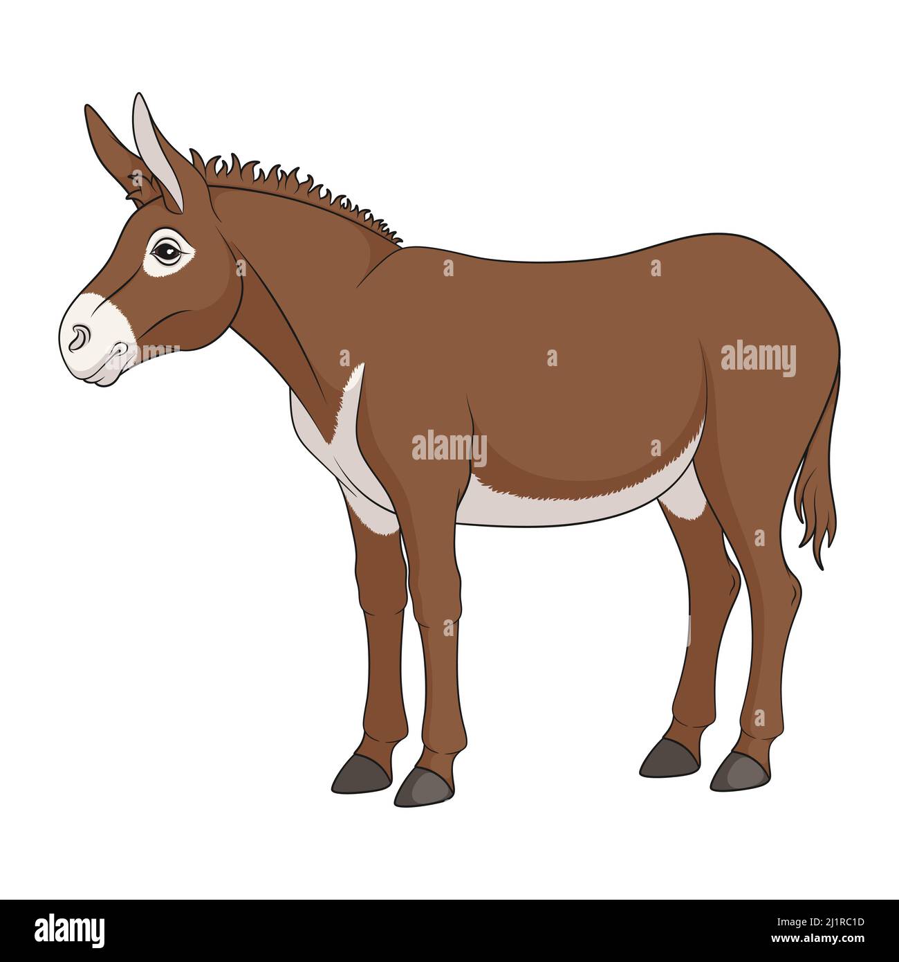Ilustración de color con burro marrón, mula. Objeto vectorial aislado