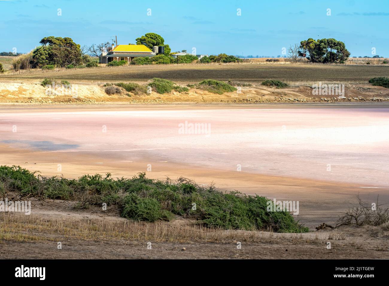 Pink Lake, cerca de Yorketown, Australia del Sur, Australia Foto de stock