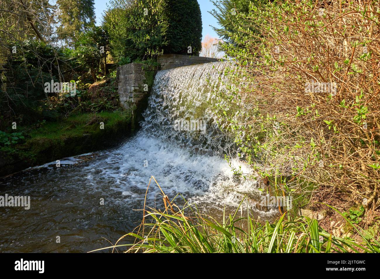 Caída de agua en un jardín ornamental Foto de stock