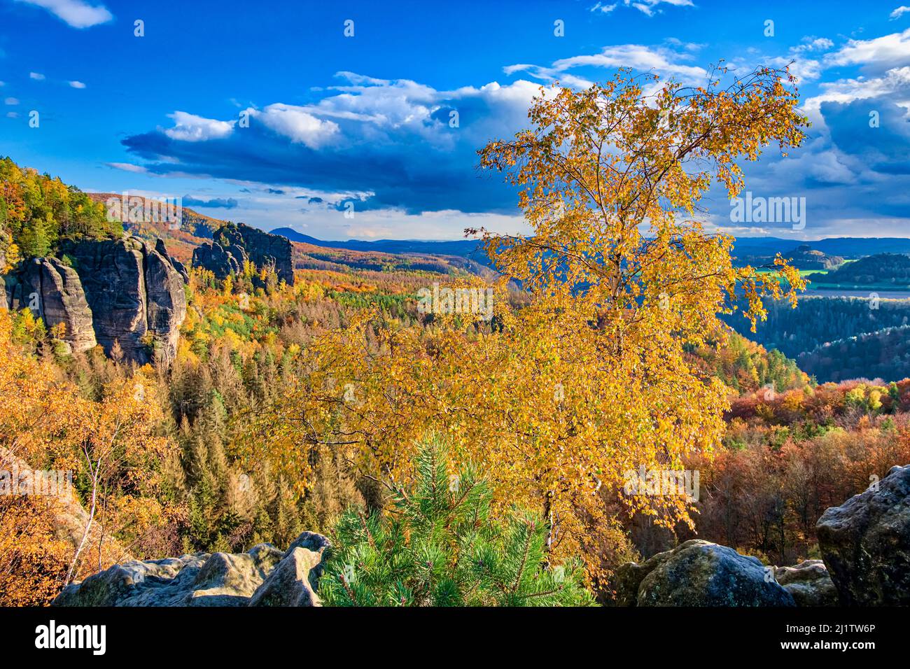 Paisaje con formaciones rocosas, coloridos árboles y la cumbre de Rauschenstein en la zona de Schmilka del Parque Nacional de la Suiza sajona en otoño. Foto de stock