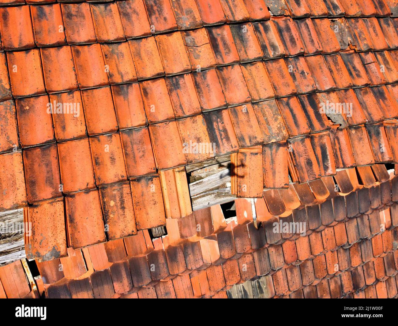 Daños causados por tormentas en las tejas del techo de la casa Foto de stock
