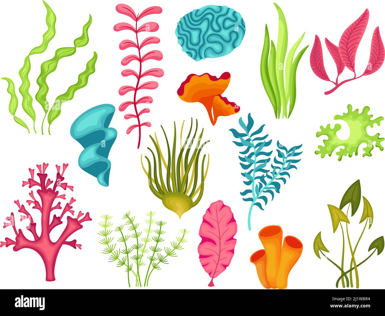 Algas de dibujos animados. Algas naturales, corales submarinos y algas.  Objetos aislados del océano y del acuario. Plantas marinas, naturaleza  marina decorativa vector ordenado Imagen Vector de stock - Alamy