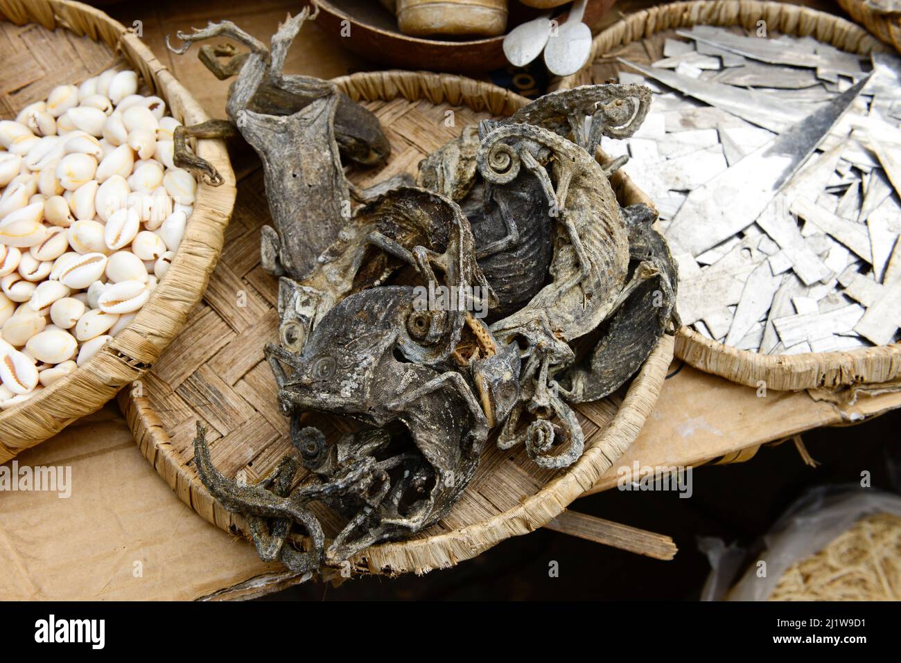 Camaleones secos a la venta en el Gran Mercado de Dantopka, Cotonou, Benín, África Occidental. Los camaleones se utilizan para ceremonias vudú. Foto de stock