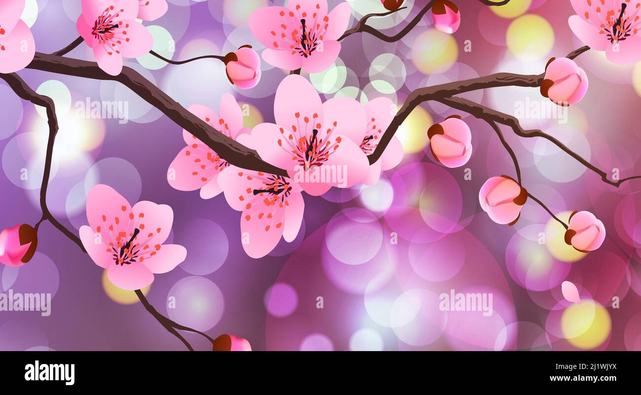 Fondo de primavera con flores de cerezo Imagen Vector de stock - Alamy