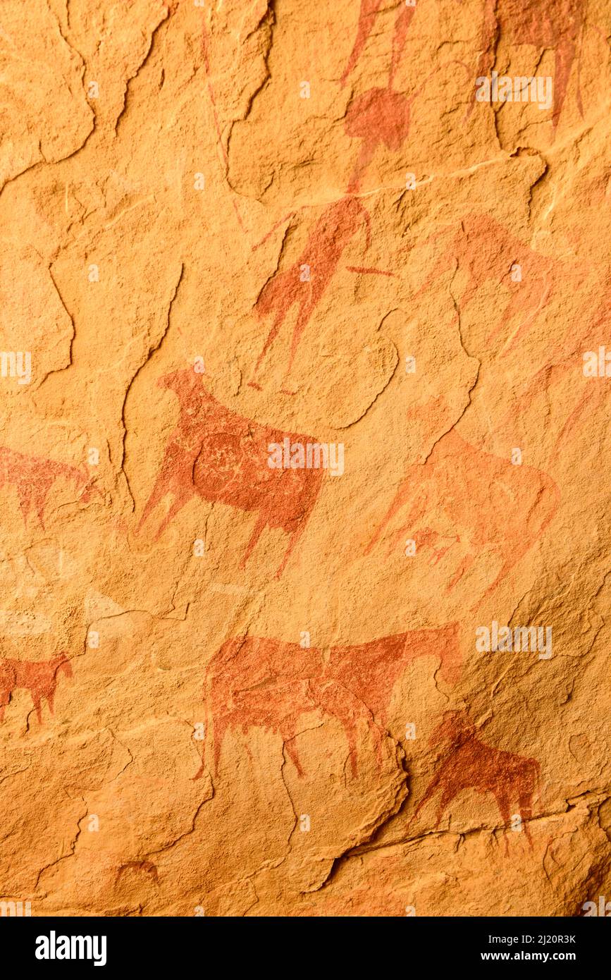 Antiguas pinturas rupestres en el desierto del Sahara que muestran ganado, la Reserva Natural y Cultural Ennedi, Patrimonio de la Humanidad de la UNESCO, Chad. Septiembre 2019. Foto de stock