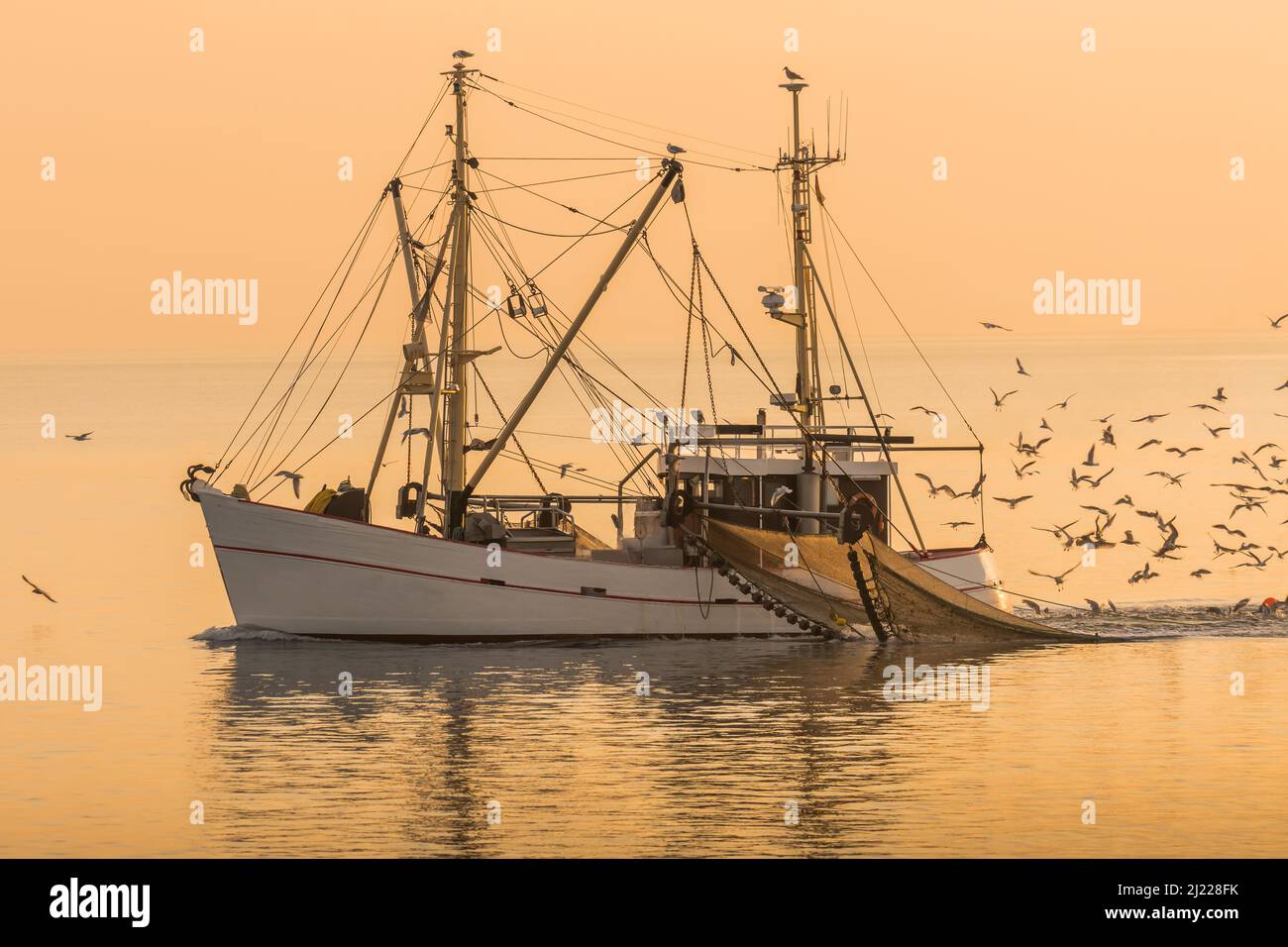 Barco pesquero en el Mar del Norte peces con red de arrastre, Buesum, Schleswig-Holstein, Alemania Foto de stock