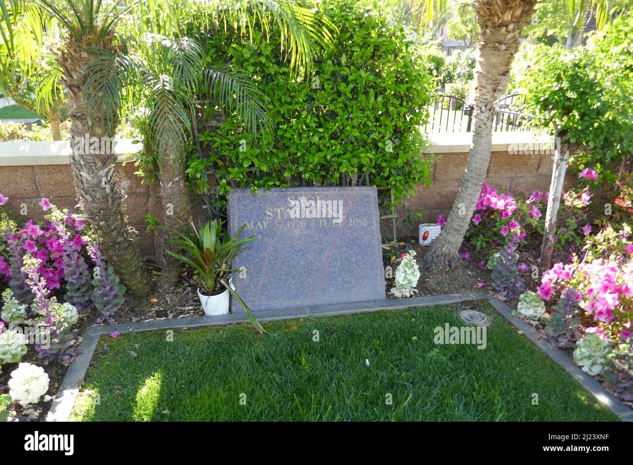 Hijo de sylvester stallone fotografías e imágenes de alta resolución