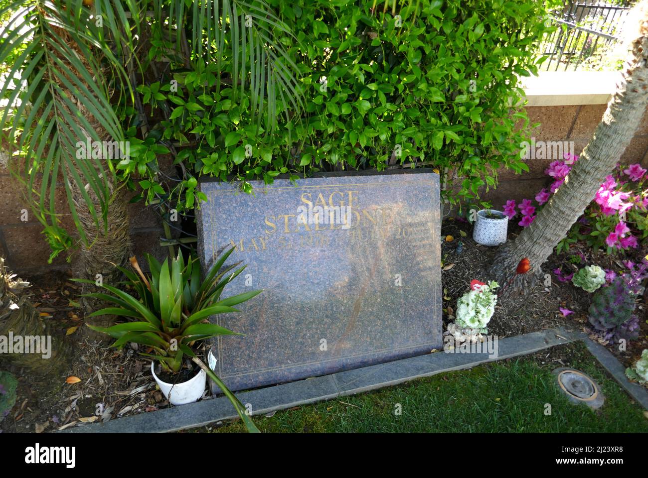 Hijo de sylvester stallone fotografías e imágenes de alta resolución