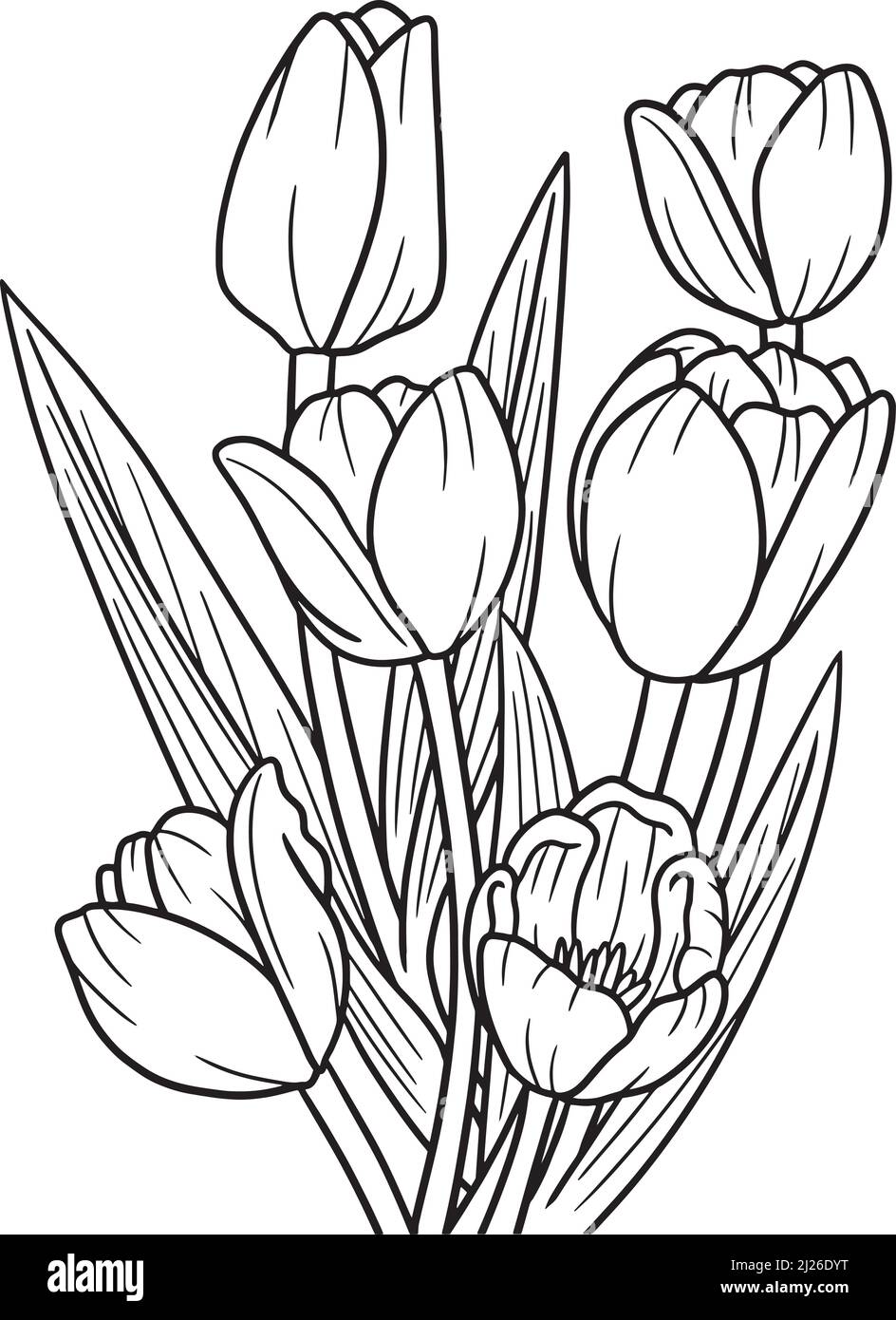 Tulipanes de diseño Imágenes de stock en blanco y negro - Alamy