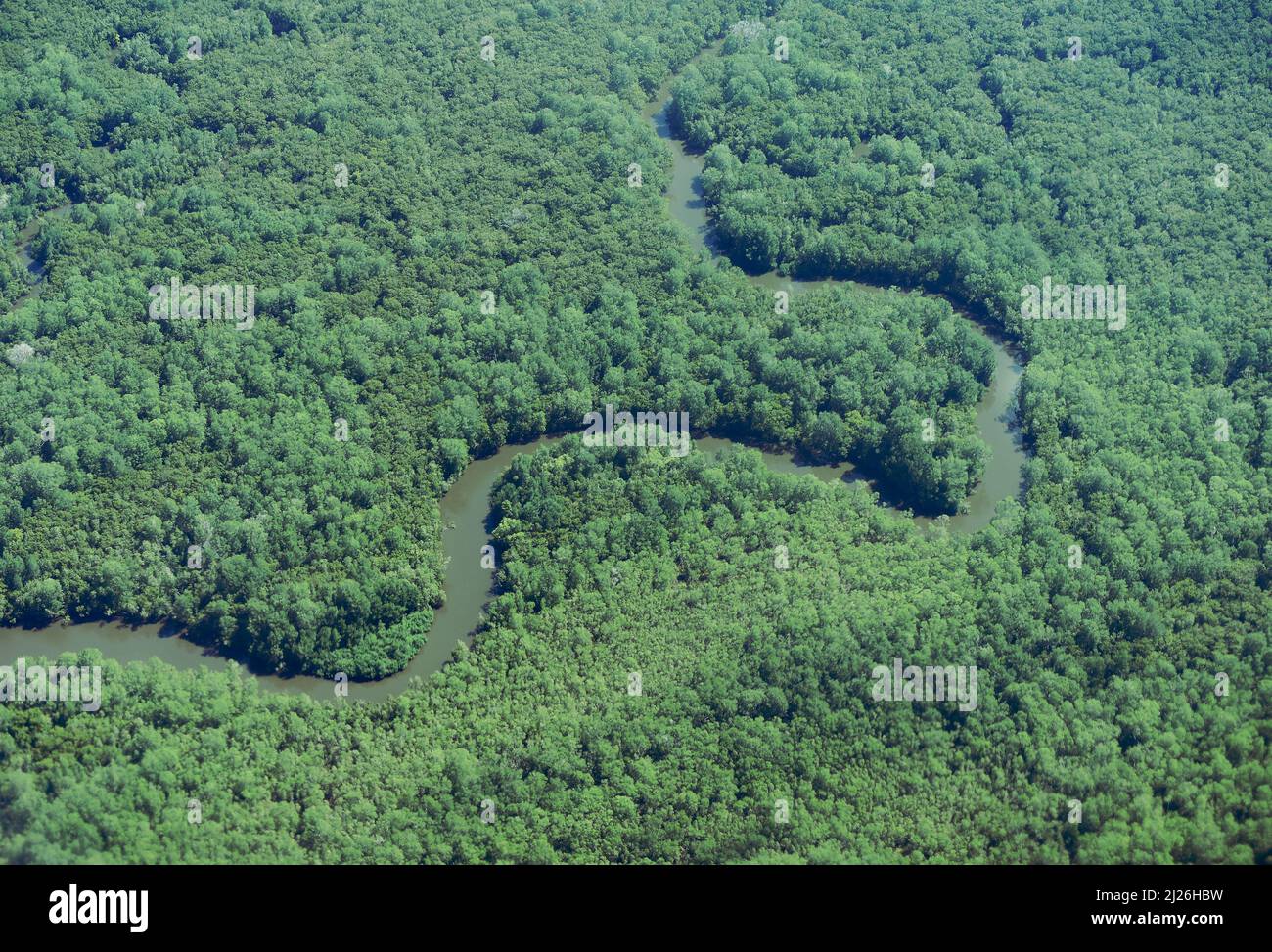 Vista aérea de la Selva de Panamá con río salvaje Foto de stock