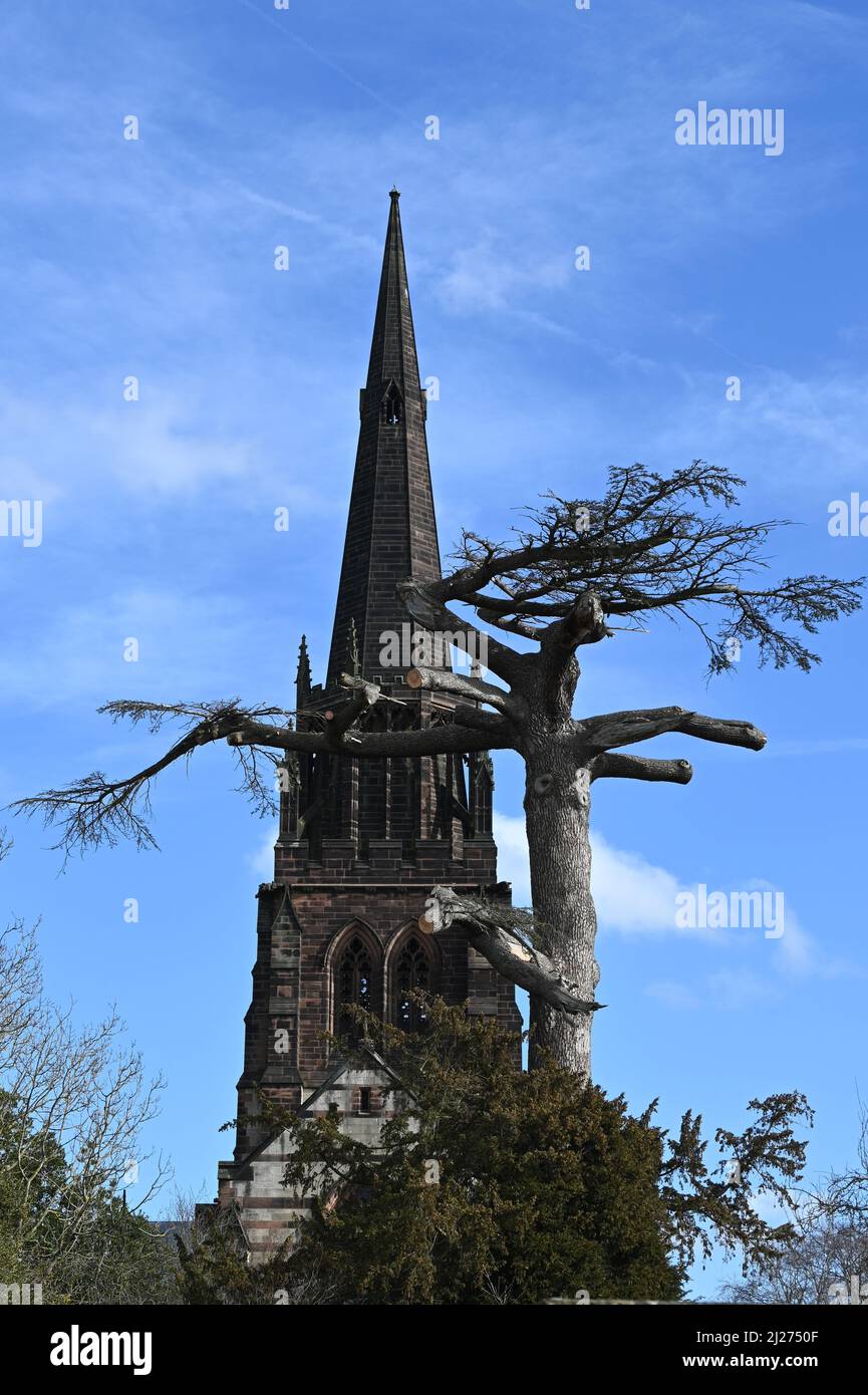 La Capilla de Santa María la Virgen, Clumber Park, Nottinghamshire, Grado 1 catalogado como un edificio de notable interés histórico arquitectónico Foto de stock