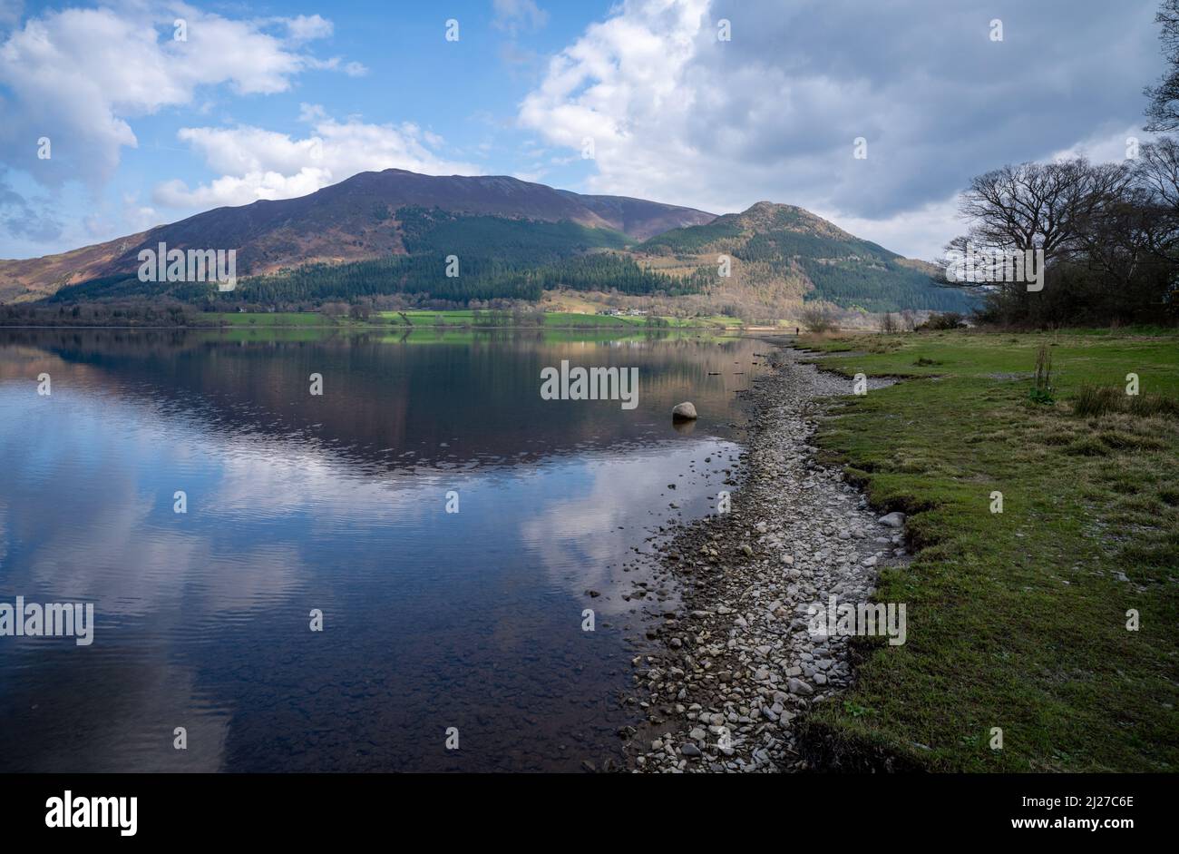Reserva Natural Nacional del Lago Bassenthwaite en el Distrito de los Lagos, Cumbria Foto de stock