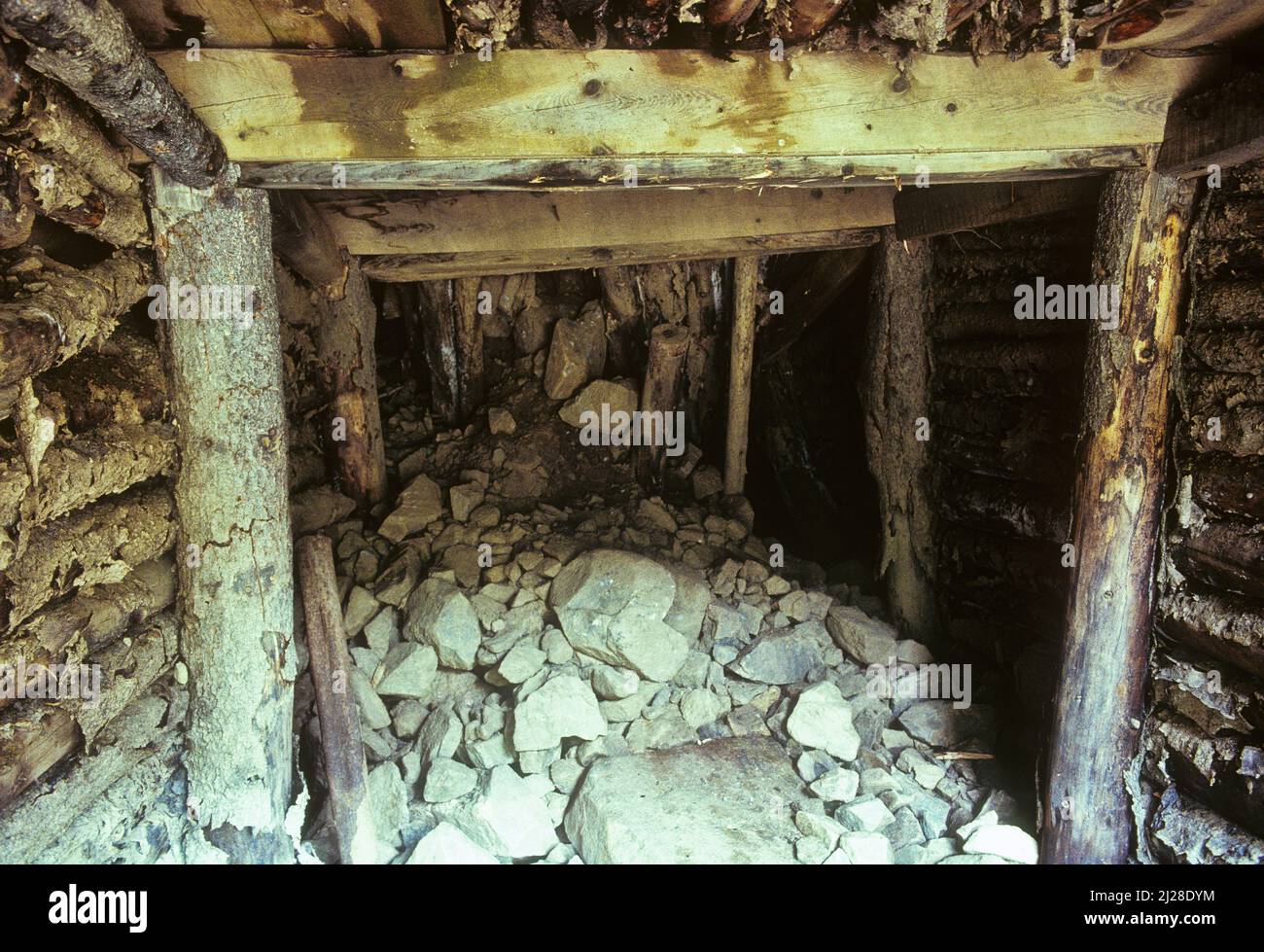 CO: Condado de Clear Creek, Bosque Nacional Arapahoe, Bard Creek, pozo de mina abandonado, acortado con maderas, con entrada de cueva. [Pregunte por #138,041.] Foto de stock