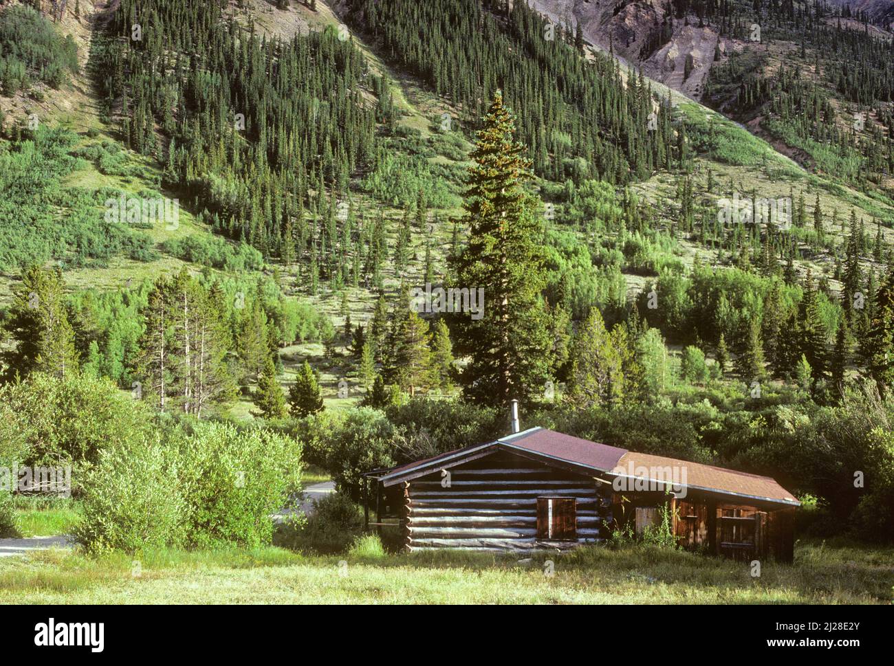 CO: Lake County, San Isabel National Forest, Clear Creek Valley, Sawatch Range, Winfield Ghost Town; Miner's Cabin Foto de stock