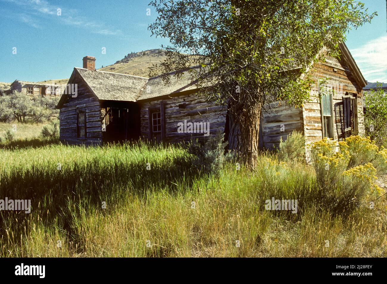 MT: Condado de Beaverhead, Área de Dillon, Parque Estatal Bannack (pueblo fantasma), cabaña de troncos abandonados; madera de algodón [Pida el #170,065.] Foto de stock