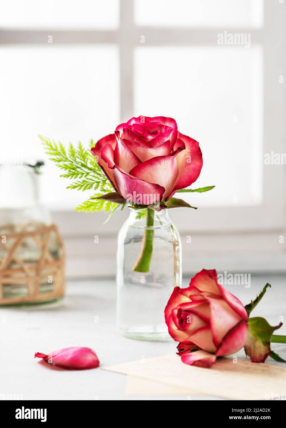 Ramo de rosas rojas de verano en jarrón de cristal cerca de la ventana. Bodegón floral en estilo vintage. Concepto florístico o de decoración del hogar. Foto de stock