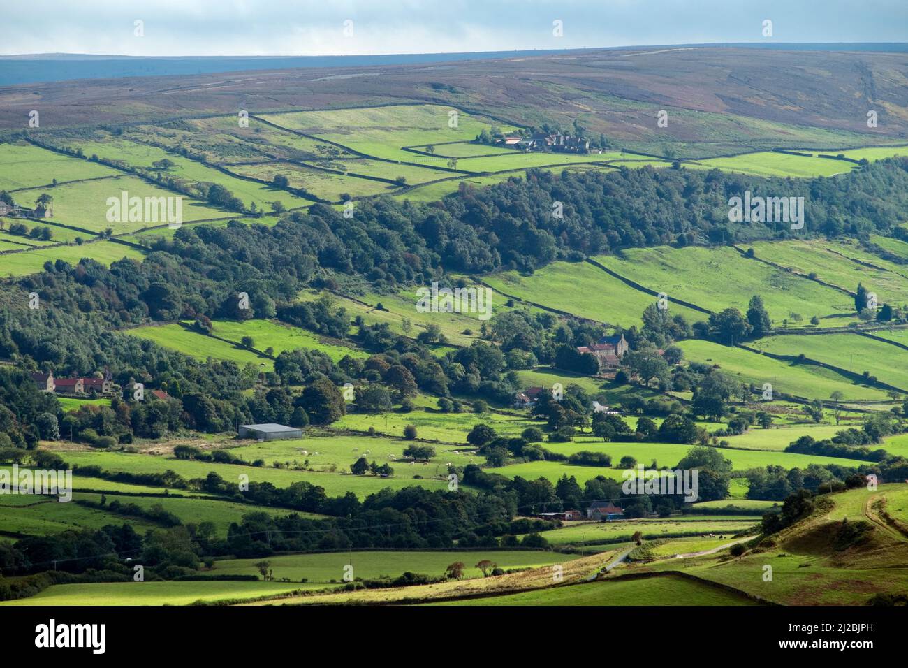Vista de la campiña con edificios agrícolas, pasto y altos páramos en distancia, North East Yorkshire, Septemebr Foto de stock