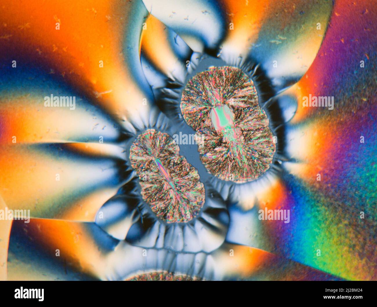 Muestra cristalizada de vitamina C, espectacular portaobjetos de polarización cruzada con placa de retardo añadida, fotomicrografía Foto de stock