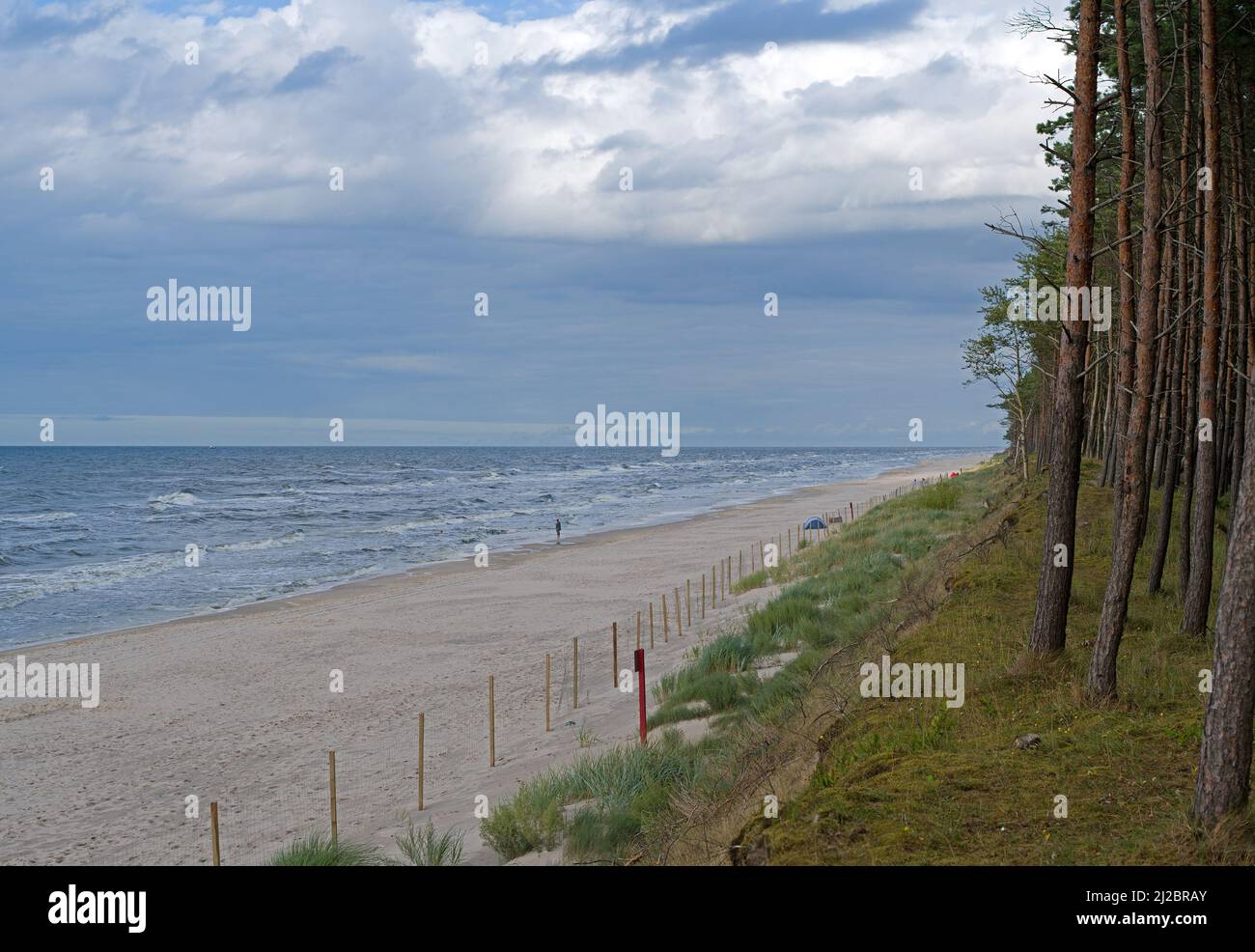 Empinada orilla y bosque de pinos en la playa de la costa del Mar Báltico, Polonia. Foto de stock