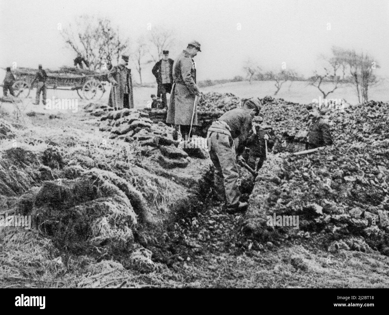 Batallón Británico 2nd de la Primera Guerra Mundial, Fusiliers Reales Escobar trincheras en Geluwe en 1914 durante la Primera Guerra Mundial en Flandes Occidental, Bélgica Foto de stock