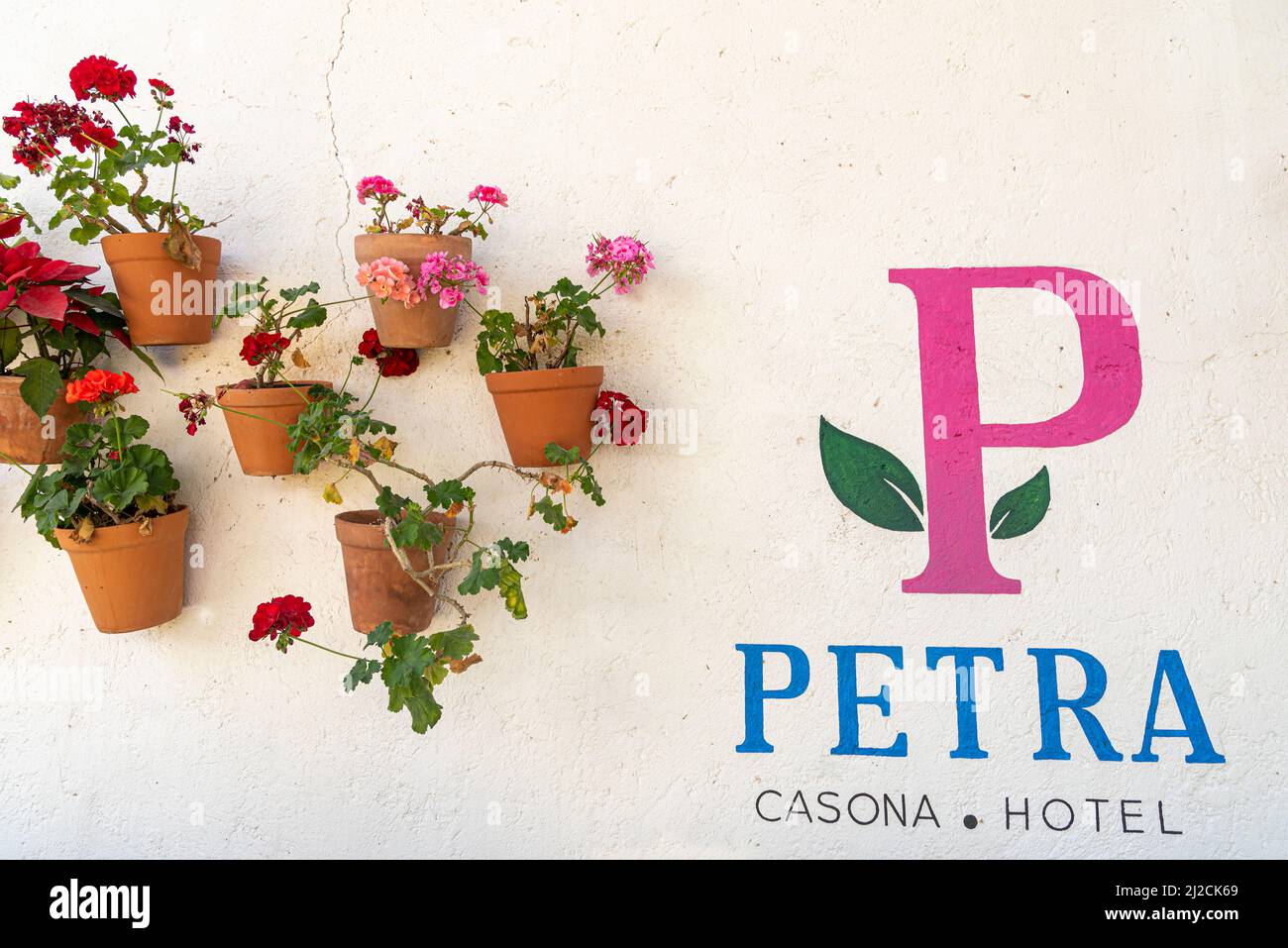 La pared trasera del patio del hotel Petra. Decorado con macetas colgantes  de terracota de flores. San Miguel de Allende, Guanajuato, México  Fotografía de stock - Alamy