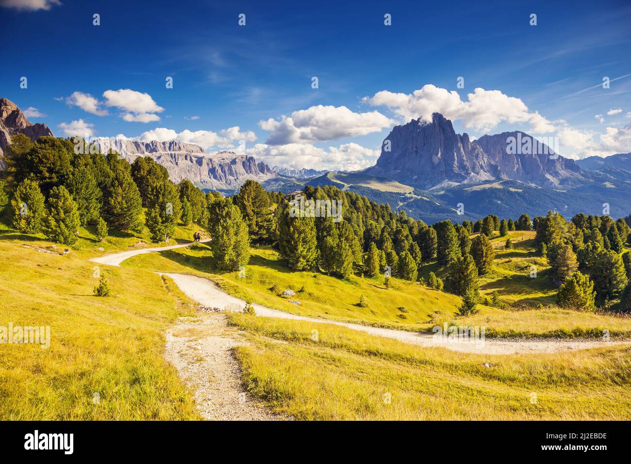 Vista sobre el grupo Sassolungo (Langkofel), valle Gardena. Parque Nacional Dolomitas, Tirol del Sur. Ubicación pueblo Ortisei, S. Cristina y Selva, Italia Foto de stock