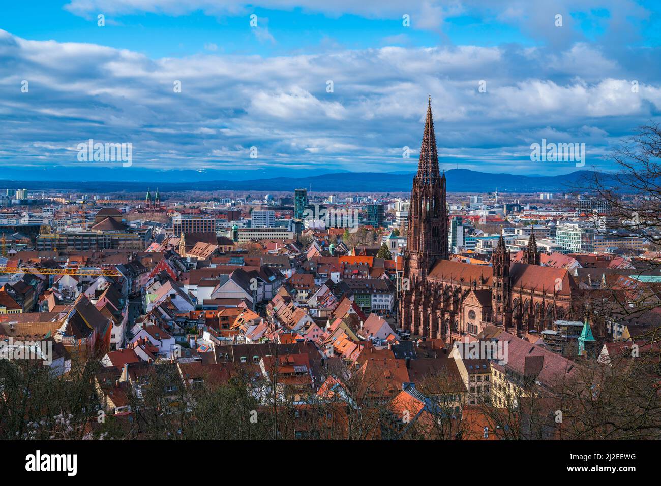 Alemania, Freiburg im Breisgau casas de la ciudad y la iglesia de muenster en el mercado en el centro de la ciudad, vista sobre el horizonte de la ciudad medieval Foto de stock