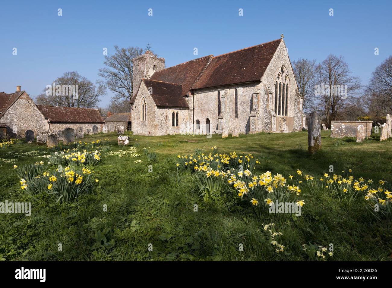Primavera, San Miguel y la iglesia parroquial de todos los Ángeles en el pueblo de Chalton, Hampshire, Reino Unido. Foto de stock