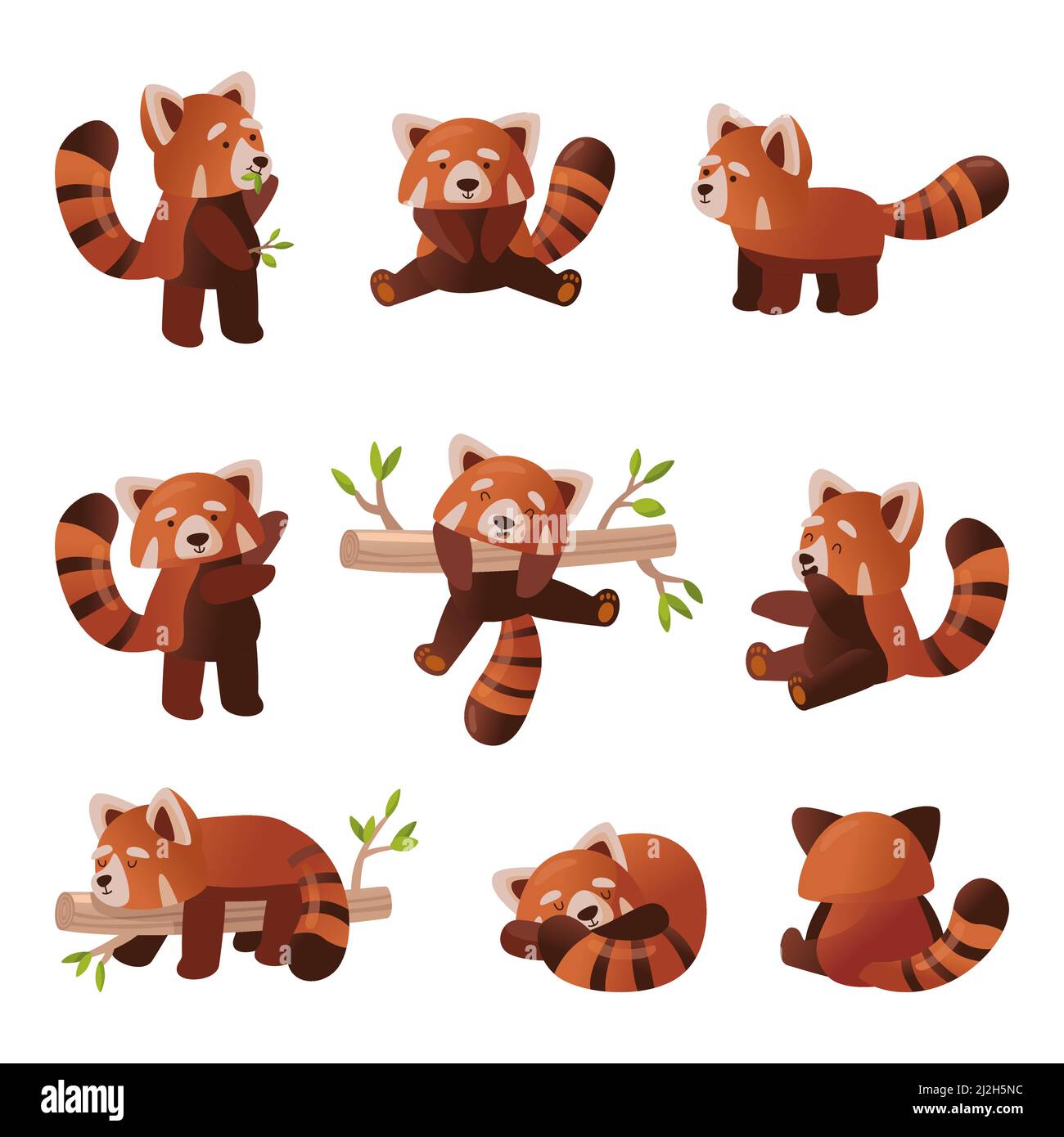 Lindo panda rojo juego de dibujos animados. Ilustración vectorial del carácter animal chino del bosque silvestre o mascota del zoológico en diferentes poses, oso panda rojo con Imagen Vector de stock - Lindo panda rojo juego de dibujos animados. Ilustración vectorial del carácter animal chino del bosque silvestre o mascota del zoológico en diferentes poses, oso panda rojo con Imagen Vector de stock -