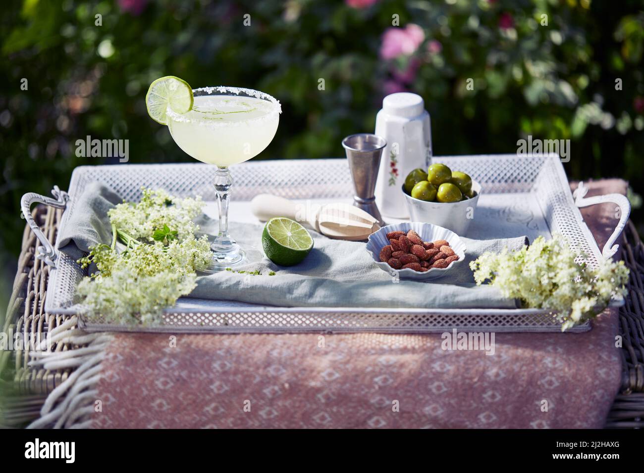 Cóctel, aperitivos y flores en la bandeja del jardín Foto de stock