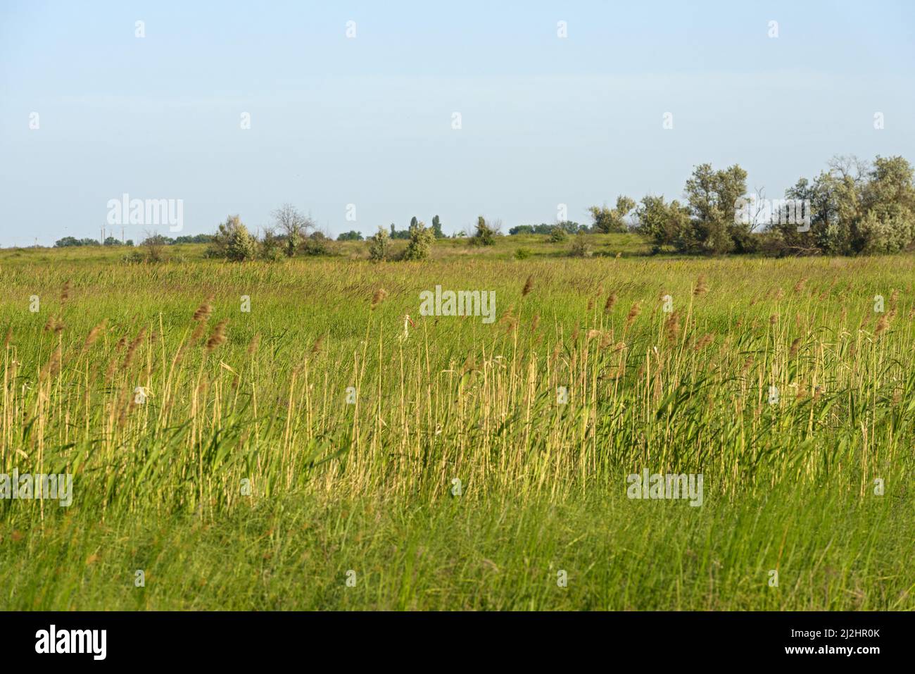 Parque acuático con cigüeña sentado entre la cornisa en la reserva de paisaje local 'Otchenashkov's Allotments' cerca de Podgorodnoe ubicación en Dnepropetrovsk Foto de stock