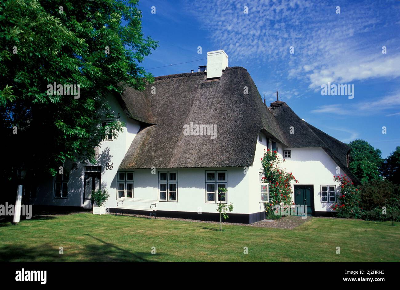 Tradicional Friesenhaus en Keitum, isla Sylt, Schleswig-Holstein, Alemania, Europa Foto de stock