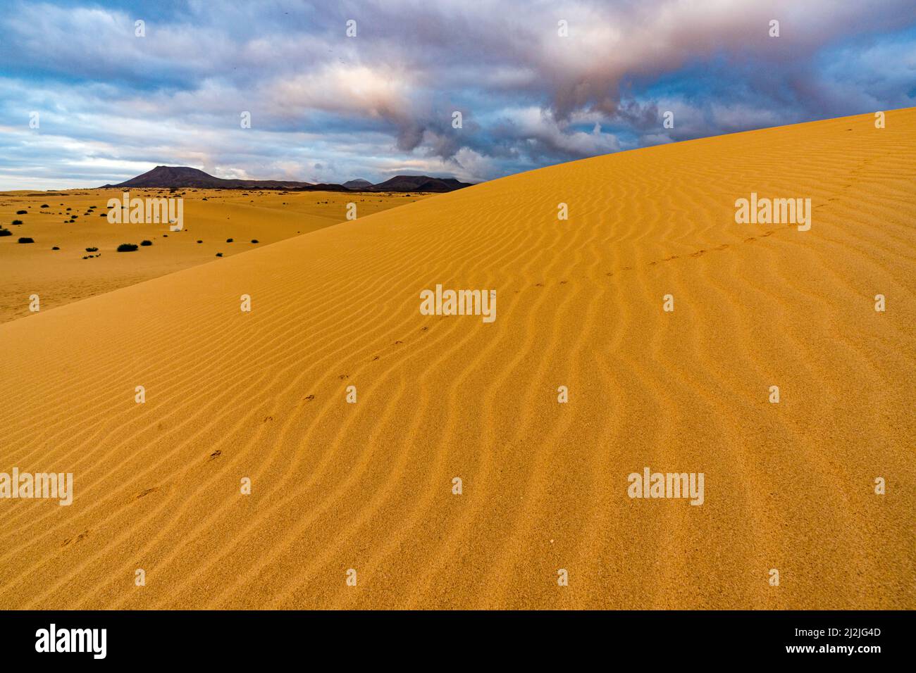 Cielo nublado al amanecer sobre la arena ondulada de las dunas del desierto, Parque Natural de Corralejo, Fuerteventura, Islas Canarias, España Foto de stock