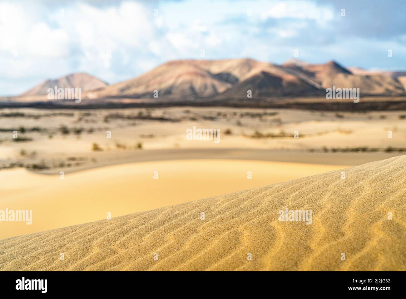 Primer plano de la arena amarilla de las dunas del desierto, Parque Natural de Corralejo, Fuerteventura, Islas Canarias, España Foto de stock