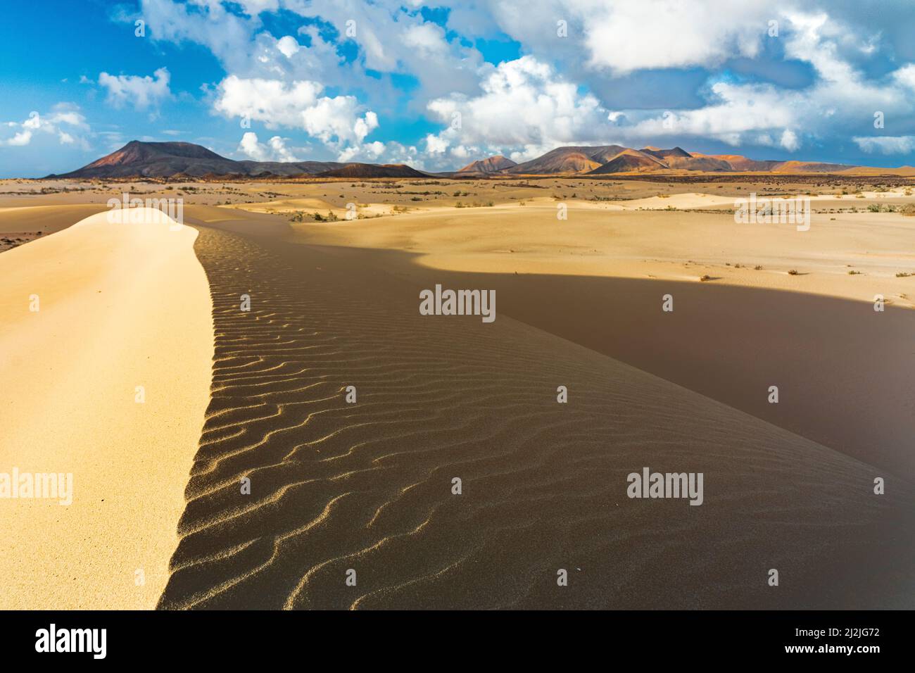 Arena ondulada de dunas del desierto en forma de viento, Parque Natural de Corralejo, Fuerteventura, Islas Canarias, España Foto de stock