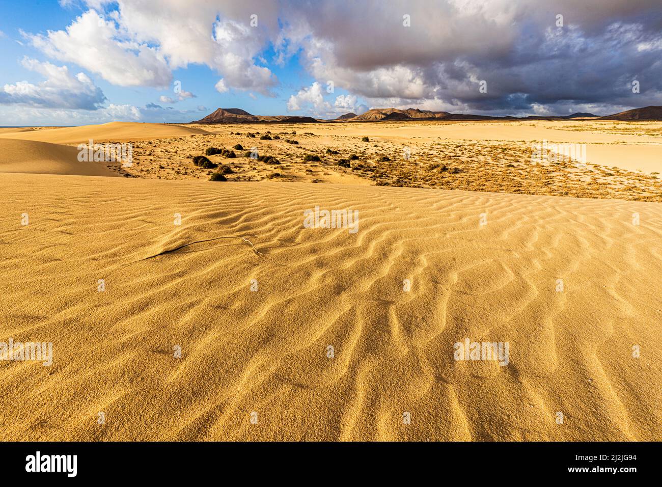 Dunas de arena onduladas bajo el cielo nublado, Parque Natural de Corralejo, Fuerteventura, Islas Canarias, España Foto de stock