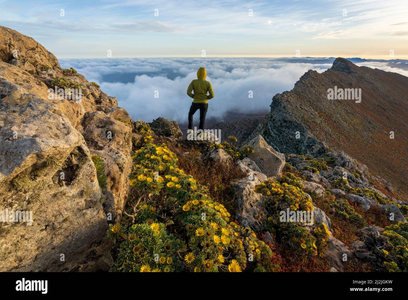 Persona admirando el cielo al amanecer sobre rocas en el pico del Pico de la Zarza, Fuerteventura, Islas Canarias, España Foto de stock