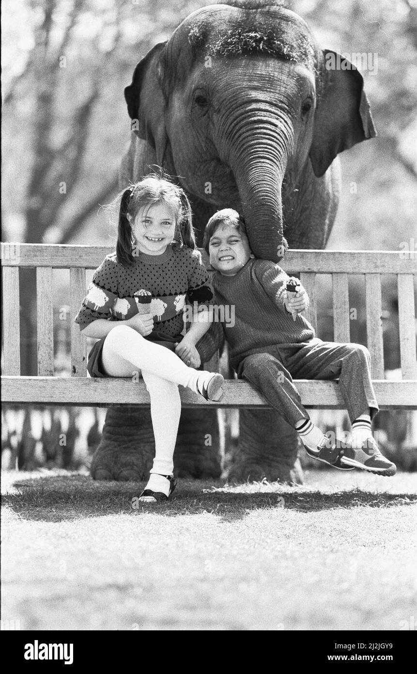 Layang Layang Elefante Asiático del Zoológico de Londres trata de hacer músculo en Faye Trinaman y Matthew Hoggs Woolworths niños ropa de moda disparar en el zoológico. 28th de abril de 1987 Foto de stock