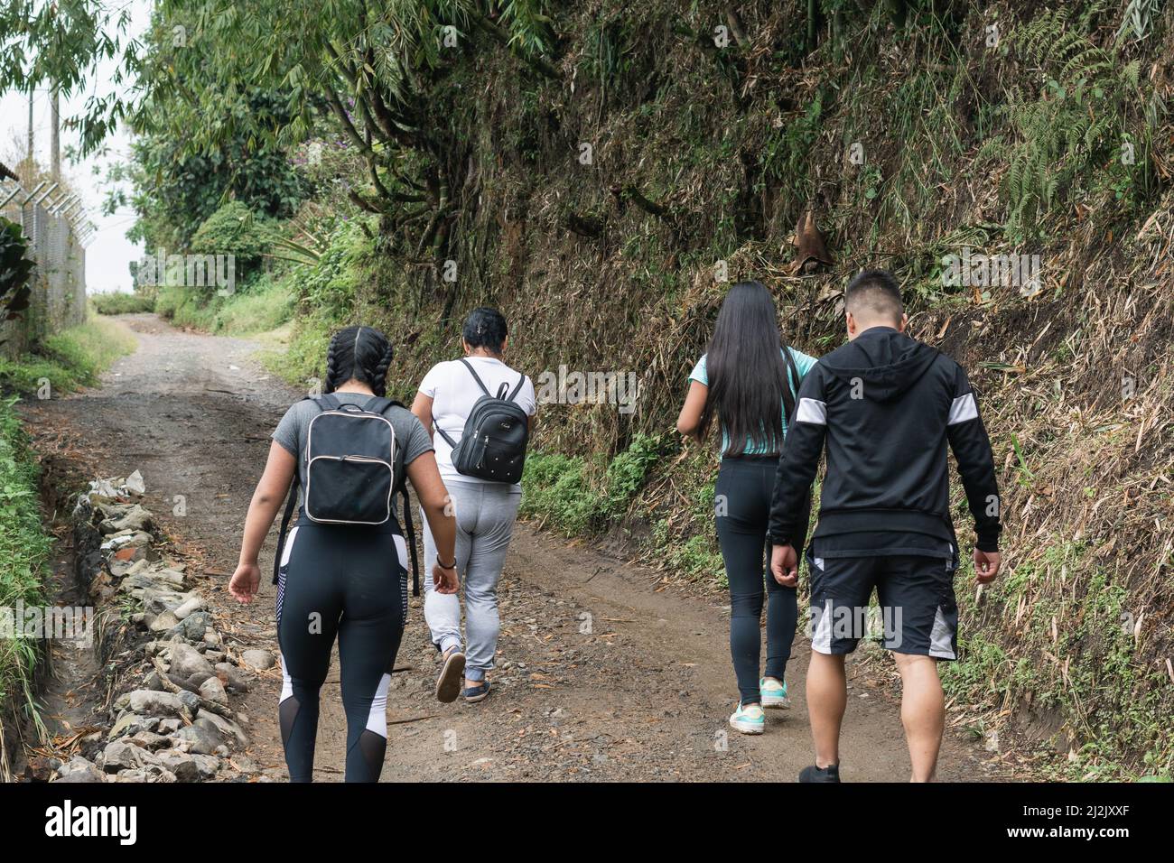 Madre y sus hijos latinos van de excursión en familia a través de la región de eje cafetero en Colombia. La gente va a caminar por la mañana para ejercitar su Foto de stock