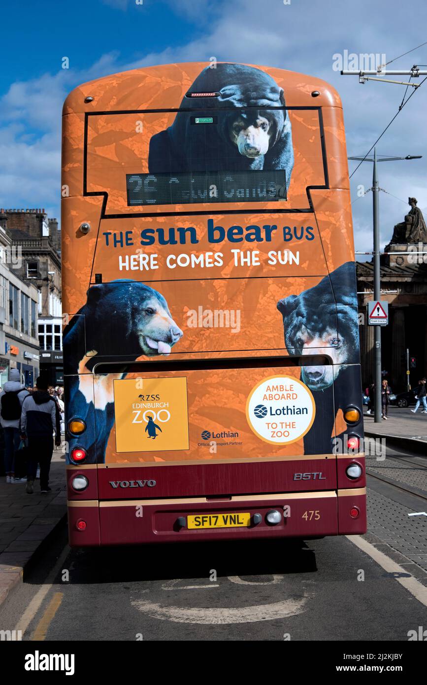 The Sun Bear Bus, Anuncio del zoo de Edimburgo con osos de sol en la parte trasera de un autobús Lothian en Princes Street, Edimburgo, Escocia, Reino Unido. Foto de stock