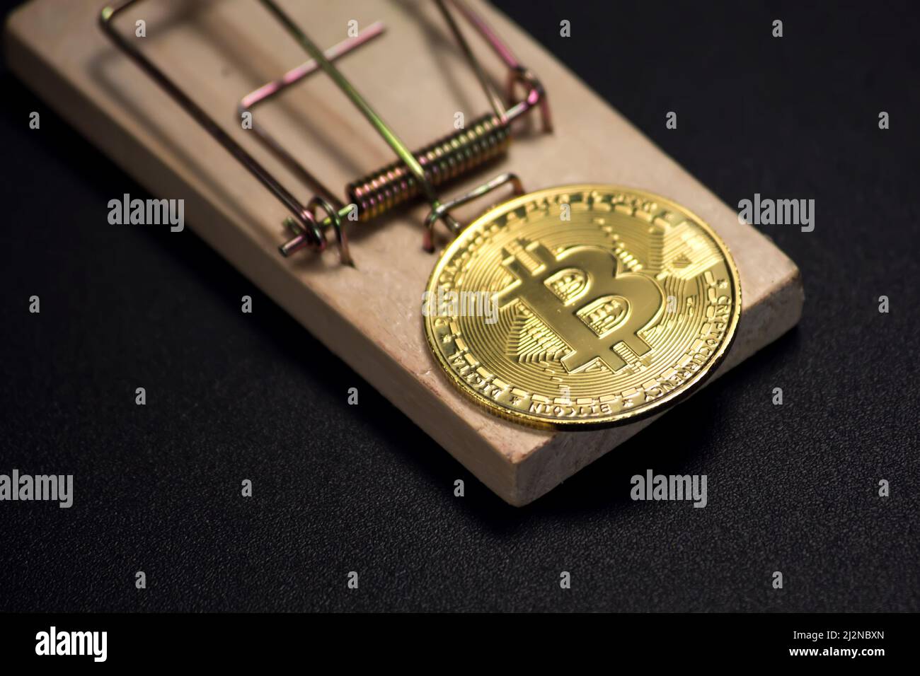 Moneda de Bitcoin en una mousetrap. Riesgos y peligros de invertir en criptomoneda Foto de stock